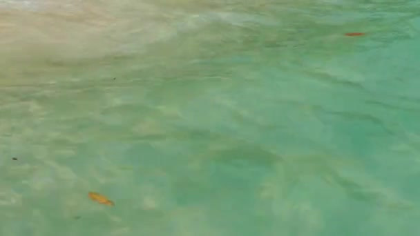 Una vista dall'acqua di una donna europea con lunghi capelli biondi, in costume da bagno, sdraiata su una spiaggia sabbiosa con un'onda in arrivo. Riposo e relax — Video Stock