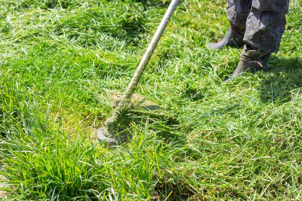 Homme Fauche Une Jeune Herbe Verte Avec Une Tondeuse Essence — Photo