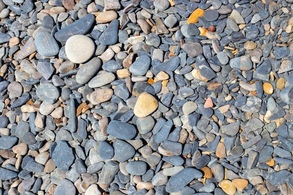 Cailloux Mer Fond Naturel Petites Grandes Pierres Modèle Texte — Photo