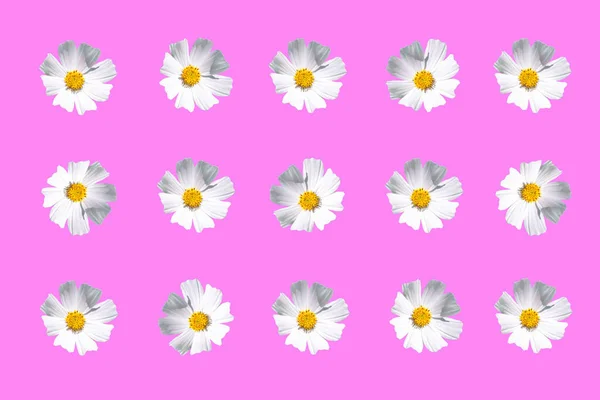 ピンクの背景に白い化粧品の花 包装の概念 — ストック写真