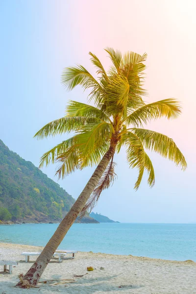 Albero di cocco sul mare. Bellissimo paesaggio tropicale verticale — Foto Stock