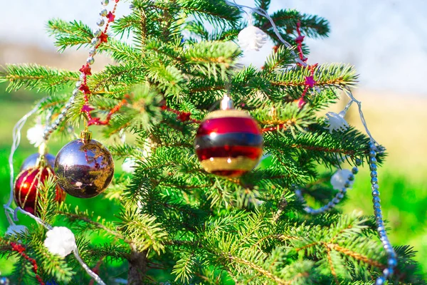 Noel Oyuncakları Süslemeleri Olan Küçük Yeşil Noel Ağacı Mutlu Yıllar — Stok fotoğraf