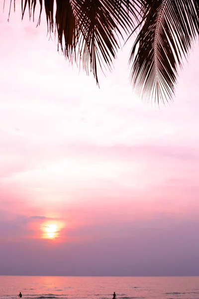 Heldere Lila Zonsondergang Aan Kust Met Hangende Bladeren Van Palmbomen — Stockfoto