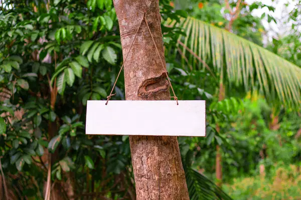 signpost, jungle direction indicator