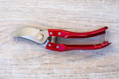 Bahçe makası, ahşap arka planda kırmızı saplı budama makası. Bitki bakımı ve budama için profesyonel araç.