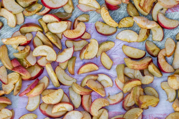 Séchage Des Pommes Sur Une Surface Plane Fruits Secs Soleil — Photo