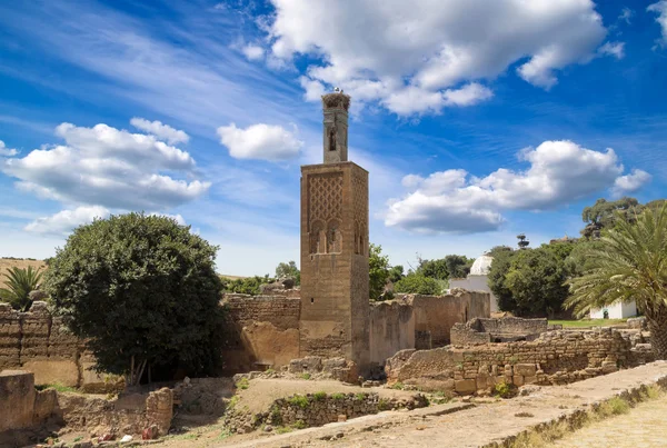 Der chellah in rabat — Stockfoto