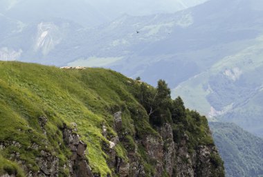 Güzel Kafkas Dağları