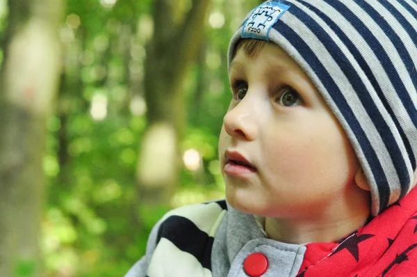 Ragazzo carino guardando la bellezza del parco primo piano — Foto Stock