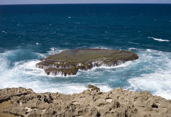 Orilla del mar de Arecibo —  Fotos de Stock
