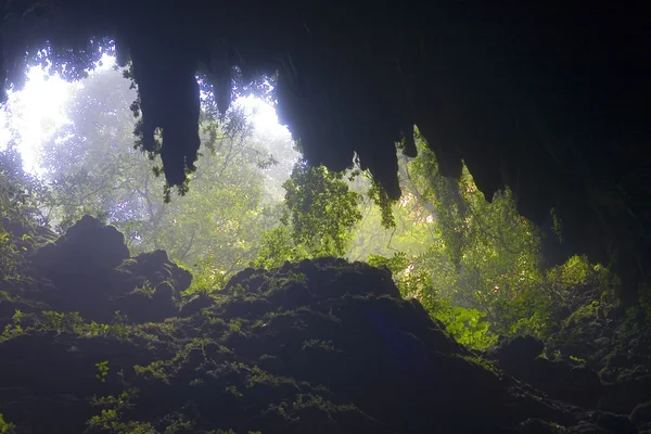 Rio camuy grot park — Stockfoto