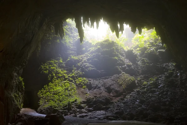 Rio camuy grot park — Stockfoto