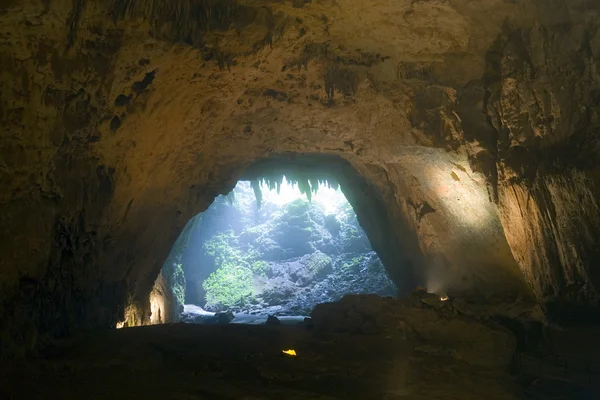 Rio Camuy Cave Park — Stock Photo, Image