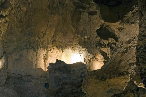 Parco delle Grotte di Rio Camuy — Foto Stock