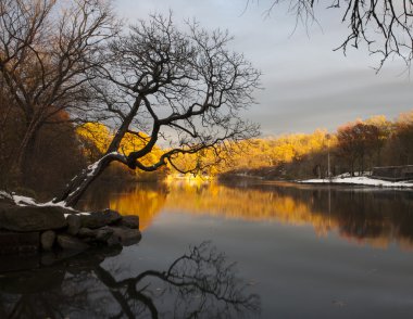 Van Cortlandt Parkı'nda gün ışığı