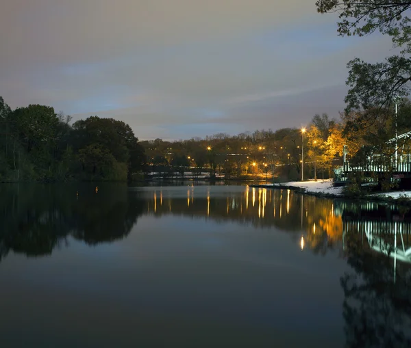 Van Cortlandt Park w nocy w zimie — Zdjęcie stockowe