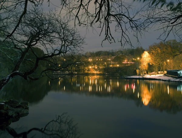 Van Cortlandt Park w nocy w zimie — Zdjęcie stockowe