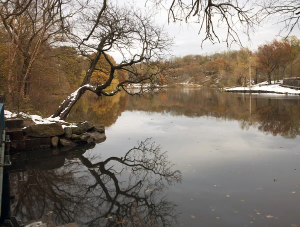 冬のヴァン ・ コートランドと言う公園 — ストック写真