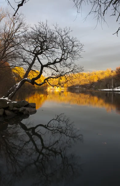 Van Cortlandt Park ในเวลากลางวัน — ภาพถ่ายสต็อก