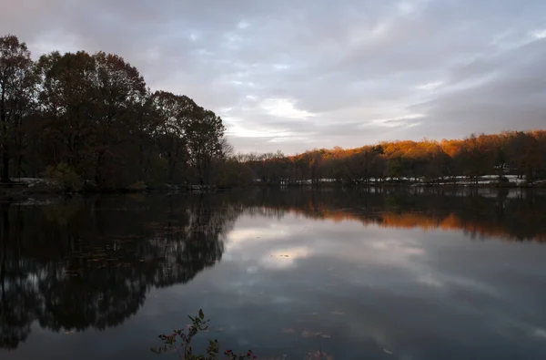 Van Cortlandt Park w nocy w zimie — Zdjęcie stockowe