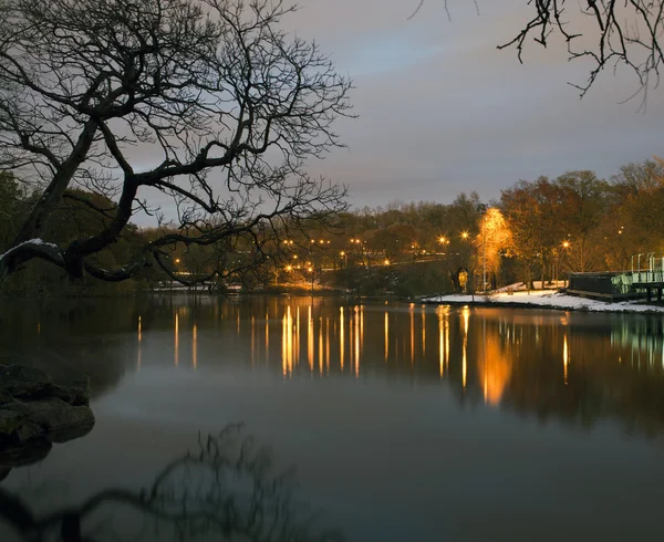 Van Cortlandt Park w nocy w zimie — Zdjęcie stockowe