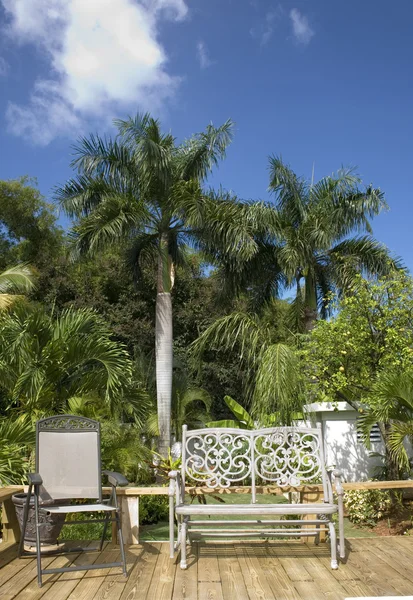 Tropické stromy a židle v Puerto Rico — Stock fotografie
