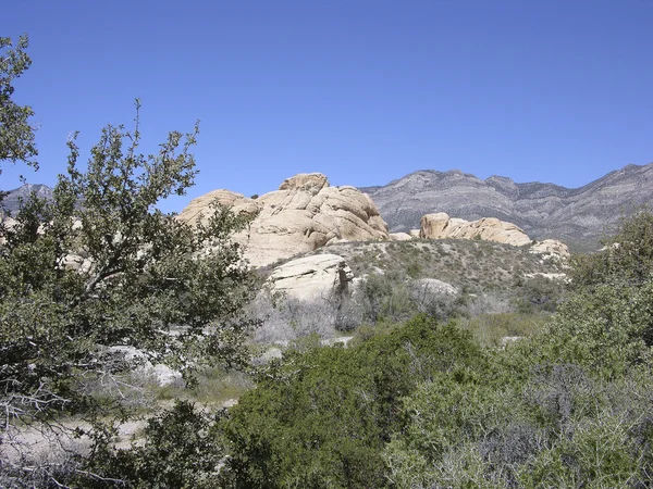 Red rock canyon εθνική περιοχή συντήρησης — Φωτογραφία Αρχείου