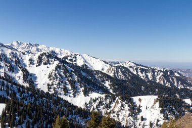 Kış Dağı Manzarası