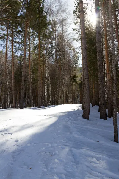 Besneeuwde ski routes — Stockfoto