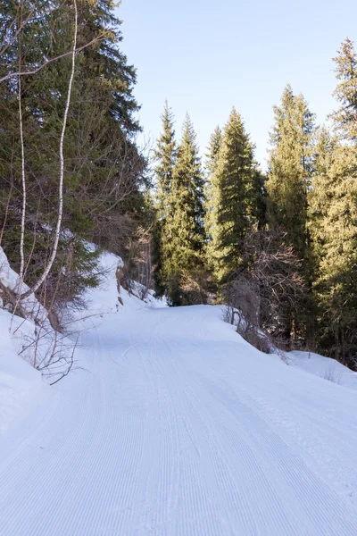Zasněžené lyžařské běžecké trasy — Stock fotografie