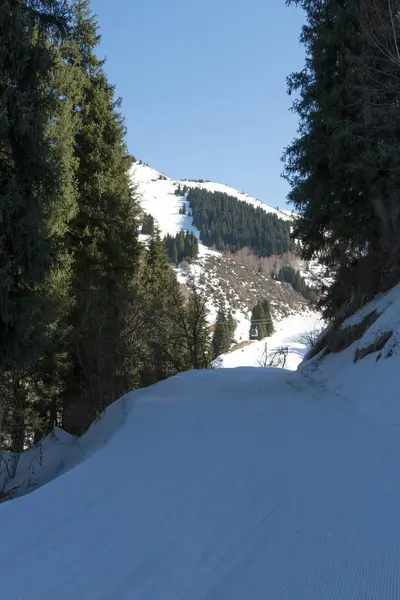 山スキーヤーのための歩道 — ストック写真