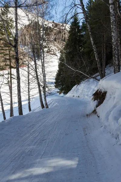 Ski trail in de winter de bomen — Stockfoto