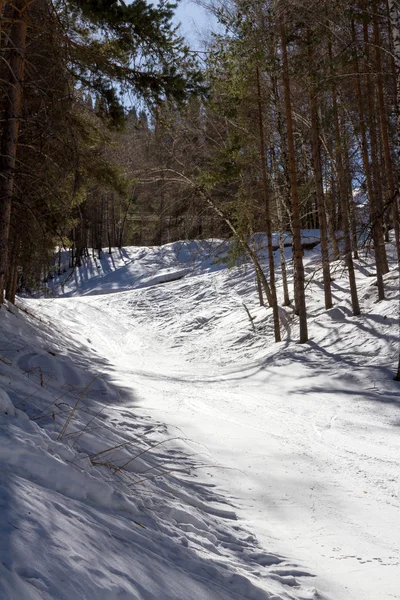 Ski trail in de winter de bomen — Stockfoto