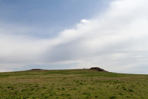 Steppe printanière verte — Photo