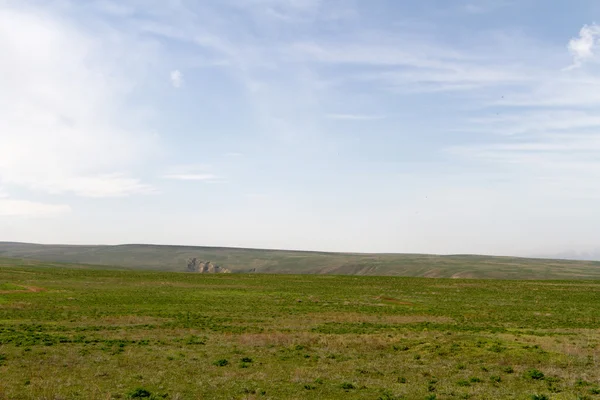 Groene lente steppe — Stockfoto