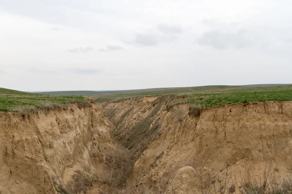 Big ravine among steppe — Stock Photo, Image