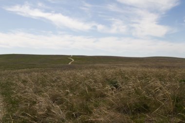 Yolun ortasında bozkır