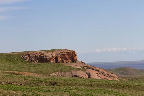 Roccia nel deserto — Foto Stock