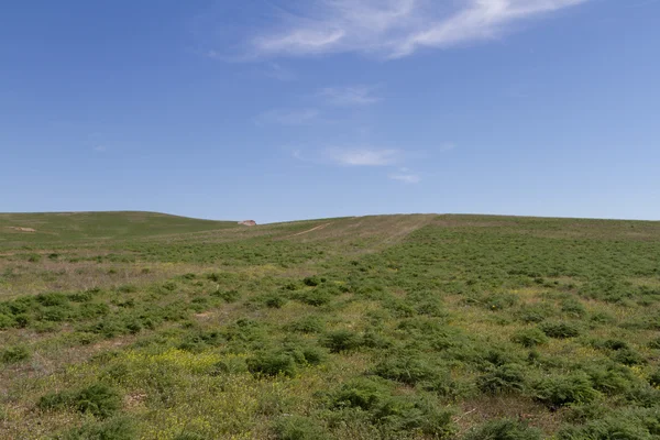 Tussen de heuvels van de steppe — Stockfoto