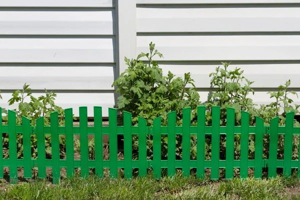 Gröna staket blomma — Stockfoto