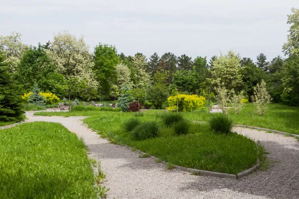 Pad in de tuin onder de planten — Stockfoto