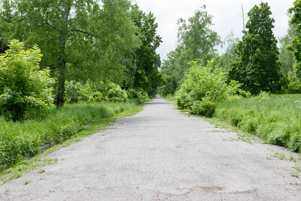 Wandelen in het park — Stockfoto