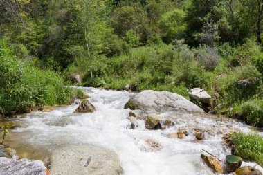 fırtınalı dağ nehir taşları arasında