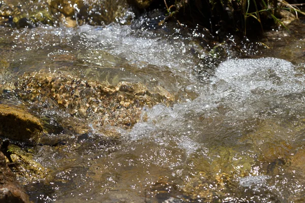 Klart vatten i floden — Stockfoto