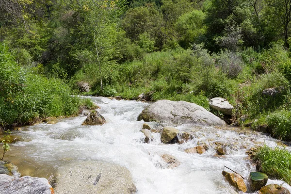 fırtınalı dağ nehir taşları arasında