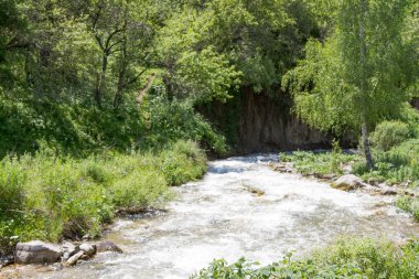 fırtınalı dağ Nehri