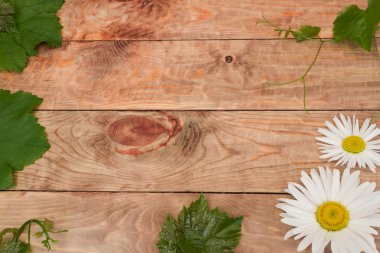 üzüm asma ile ahşap masa