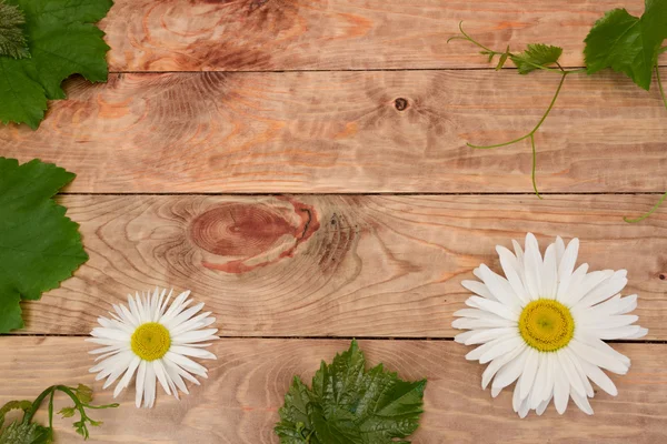 Mesa de madera con flores de manzanilla — Foto de Stock