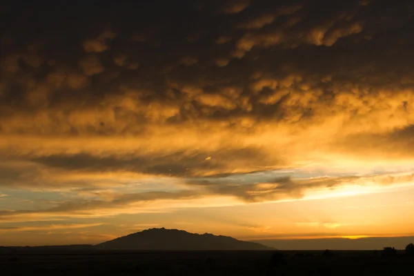Cumulusmoln vid solnedgången — Stockfoto