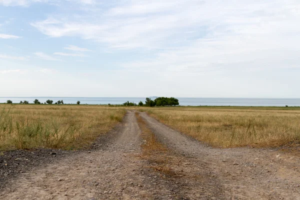 Göle giden toprak yol. — Stok fotoğraf